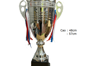 Cúp Bạc Thể Thao, Bóng Đá