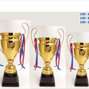 Cúp Vàng Thể Thao, Bóng Đá - MH 2107