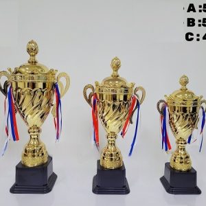 Cúp Vàng Thể Thao