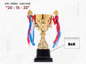 Cúp Vàng Thể Thao, Bóng Đá IWIN T160( 33CM)