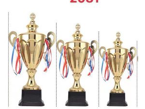 Cúp Vàng Thể Thao, Bóng Đá – 2081