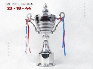 Cúp Bạc Thể Thao, Bóng Đá – IWIN 2113C