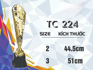 Cúp Vàng Thể Thao, Bóng Đá – TC 224