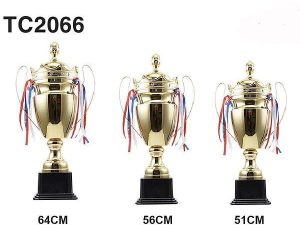 Cúp Vàng Thể Thao, Bóng Đá – TC2066