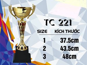 Cúp Vàng Thể Thao, Bóng Đá – TC 221