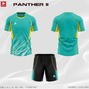 Bộ Quần Áo Bóng Đá, Thể Thao Không Logo - Justplay Panther II