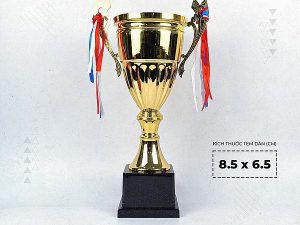Cup thể thao IWIN 7703A