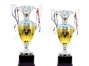 Cúp Vàng Thể Thao, Bóng Đá SQ- A đế gỗ