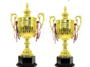 Cúp Vàng Thể Thao, Bóng Đá ZQ- A đế gỗ