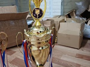 Cúp Vàng Thể Thao, Pickerball