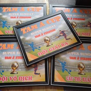 Làm Bảng Danh Vị, Cờ Giải Đấu Theo Yêu Cầu ( Có hỗ trợ lên Market )